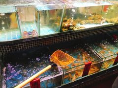 水产区-海大大蒸汽海鲜餐厅·粤菜·特色小炒(欢乐颂店)