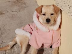 -嘉馨宠物医院·CT影像转诊·心脏科·犬猫全科诊疗中心(下沙大学城院区)