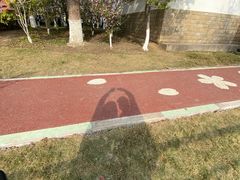 -高东镇樱花园