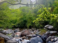 -石台牯牛降景区