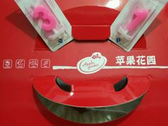 -苹果花园(昌里东路店)