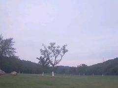 -羊山湖公园