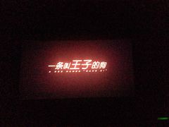 -幸福蓝海国际影城(上海三林店)