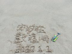 -贝壳梦幻世界