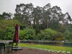 -南宁荔园维景国际酒店·荔园中餐厅