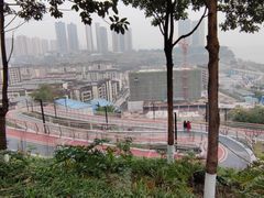 -大渡口区义渡公园