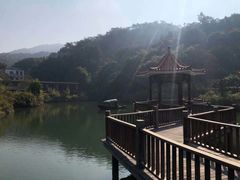 -龙山酒店温泉