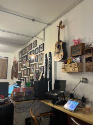 -脱白计划纹身集团