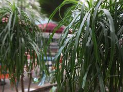 -龙脉温泉室内游泳馆