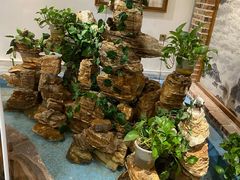 -成老灶火锅鸡(高东街店)