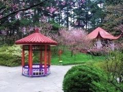 -庐山风景区花径公园