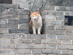 -雁门关景区