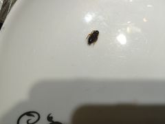 金地利海鲜酒楼-金地利海鲜酒楼(清凉门店)