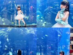 -OPEN開全日自助餐厅·牛肉火锅·海鲜(佛山希尔顿酒店)