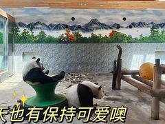 -西安秦岭野生动物园