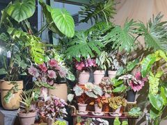 -棕榈岛海鲜自助餐厅(虹桥迎宾馆店)
