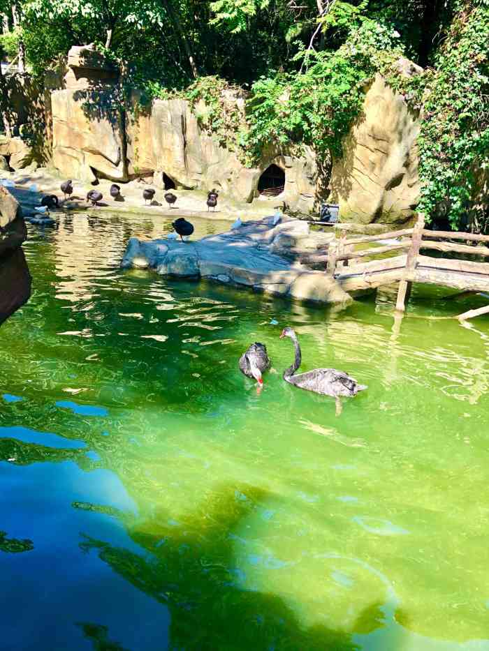 燕塞湖鸟语林景区-"燕塞湖 燕塞湖燕塞湖,地处燕山脚下,.