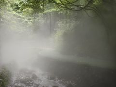 -夏霖九天银瀑风景区