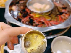 -大龙火锅(老店)