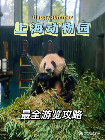 在上海，要是没去过这里？那你就亏大了