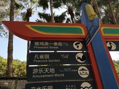 -深圳野生动物园