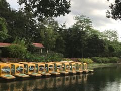 -晓港公园