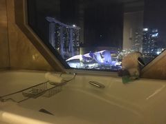 -新加坡丽思卡尔顿美年酒店