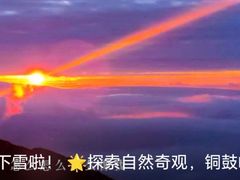 -梅州天地人花园酒店(梅县人民广场店)