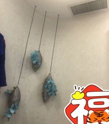 -健身堂科技美肌SPA