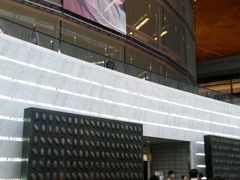 android_upload_pic-国家大剧院