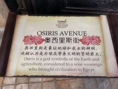 -北京张裕爱斐堡酒庄