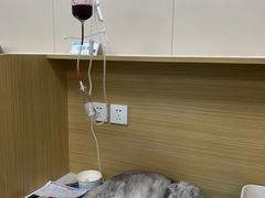 -美联众合爱康动物医院•复杂内科•肿瘤科•牙科•腔镜诊疗中心