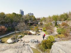 -上海吴淞炮台湾国家湿地公园