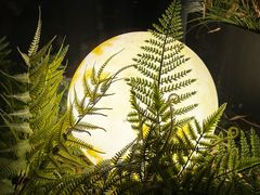 -茗知道茶馆(世博源店)