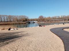 -大兴滨河森林公园