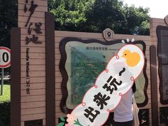 -大湾区中央湿地公园