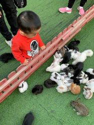 -萌宠亲子动物乐园(槐房万达店)