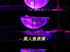 -大连圣亚海洋世界