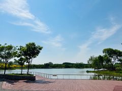 -东郊湿地公园