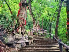 -中国观音故里广德景区