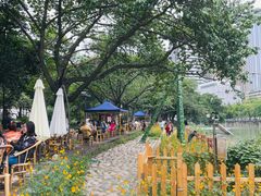 -成都市活水公园