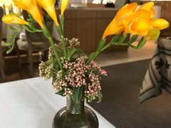 -蝶舍·MAISON PAPILLON