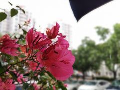 -小麦之家(海湾总店)