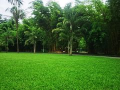 -中国科学院西双版纳热带植物园