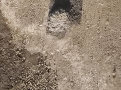 -鸿山遗址博物馆