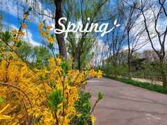 -大兴滨河森林公园