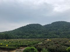 -中国茶叶博物馆(双峰馆区)