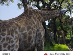 -沈阳森林动物园