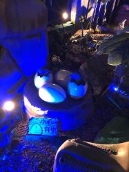 -恐龙探索乐园(磁器口店)