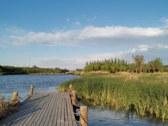 -马家湾湿地公园